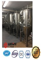 1200L CCT fermenter tank--WeizeSd