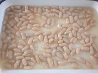 canned dry broad beans uk fava beans price
