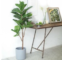 Source Factory Supply Amazon Hot Sale Ficus Tree Artificial Plants