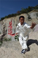Ancestral Prestige Superb Outstanding Top class Wonderful Shaolin kungfu