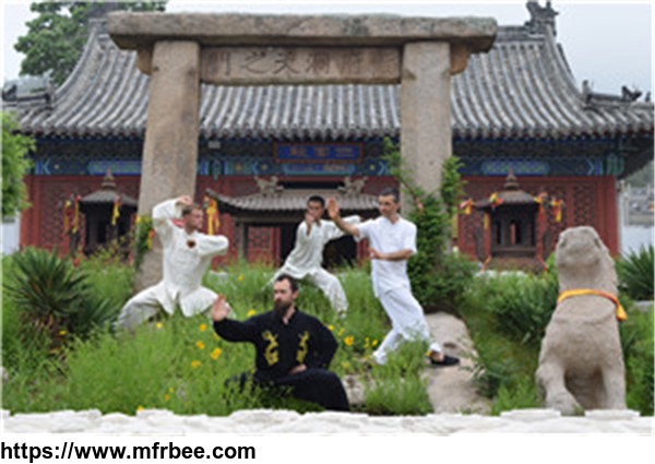 authentic_inherited_long_history_decent_shaolin_kungfu_school