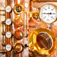 more images of 1000L Whiskey Brandy Gin Micro Distillation Equipment Alcohol Copper Distiller