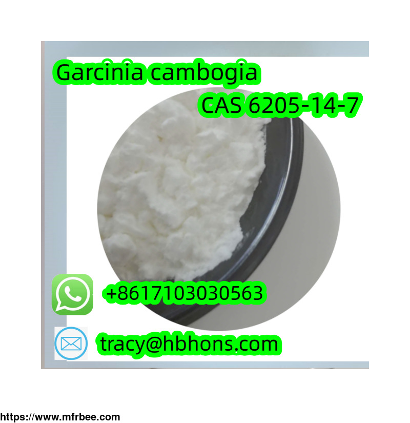 garcinia_cambogia_cas_6205_14_7_white_powder