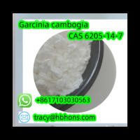 Garcinia Cambogia CAS 6205-14-7 White Powder