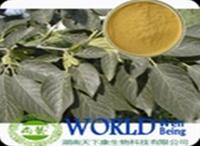 more images of Hot sale Eucommia ulmoides extract/Chlorogenic acid 30%/Anti-hypertensive plant extract
