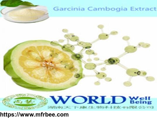 100_percentage_natural_garcinia_cambogia_extract_lose_weight_10_percentage_98_percentage_hydroxy_citric_acid_hca_organic_garcinia_cambogia_extract_powder