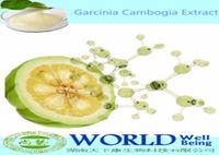 100% Natural Garcinia Cambogia Extract Lose Weight 10%-98% Hydroxy Citric acid(HCA)Organic Garcinia Cambogia Extract Powder