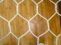 Hexagonal Wire Netting| Shandong Accuz Metal Products Co., Ltd.