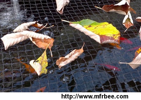 woven_pond_netting_keeps_blowing_debris_out_of_pond