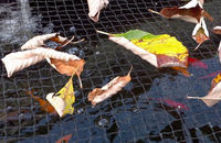 Woven Pond Netting - Keeps Blowing Debris Out of Pond