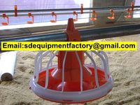 more images of SD automatic chicken feeder system