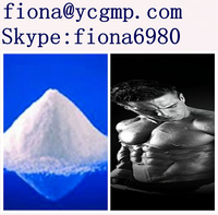 55-06-1 Body  Building Raw Material Powder Sodium L-Triiodothyronine(T3)