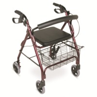 more images of Lightweight Rollator Walker With 6” Casters