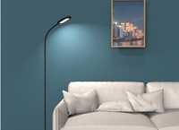 more images of Types of Floor Standing Reading Lamp