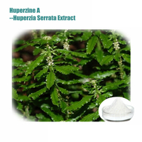 Huperzia serrate extract Huperzine-A