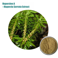 more images of Huperzia serrate extract Huperzine-A