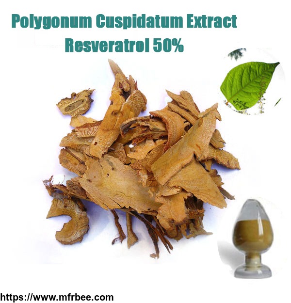 resveratrol_polygonum_cuspidatum_extract