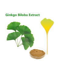 more images of Ginkgo biloba Extract