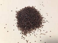 more images of Brown Fused Alumina (F24) for Cutting, Lapping and Sandblasting