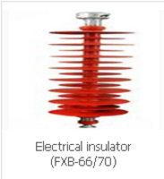 Electrical insulator (FXB-66/70)