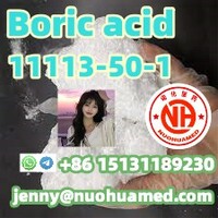 Boric acid          11113-50-1