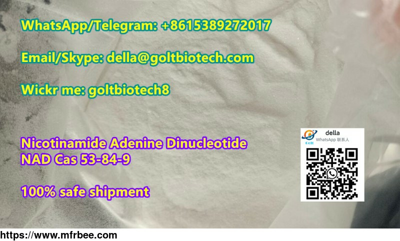 supply_nad_cas_53_84_9_nicotinamide_adenine_dinucleotide_manufacturer_whatsapp_8615389272017