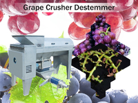 Electric Grape Crusher