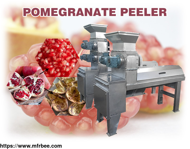 automatic_pomegranate_peeling_machine
