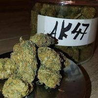 more images of AK 47