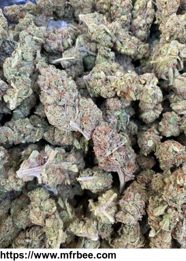 t_o_p_shelf_s_indoor_strains_kush_weed_marijuana_available_now_