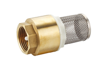 more images of Brass Check Valve
