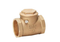 more images of Bronze Check Valve