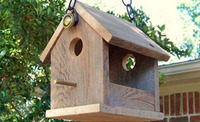 more images of Bird Feeder