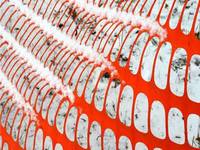 more images of Orange Snow Barrier Fence Makes Installation Very Easy