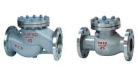 more images of Check Valve  Flange Check Valve