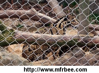 stainless_steel_zoo_mesh_for_animal_enclosure