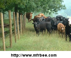high_tensile_wire_fence_applied_for_enclosing_animals