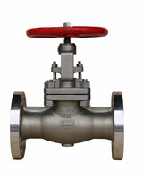 more images of Globe Valves