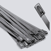 Stainless Steel Cable Tie/SS Cable Tie/Steel Cable Tie