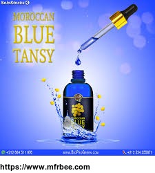 1_moroccan_blue_tansy_essential_oil_company