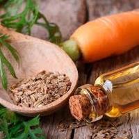 more images of Carrot Essential Oil
