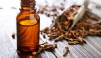 more images of Clove Essential Oil