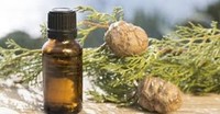 more images of Cypress Essential Oil
