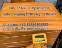 more images of CAS 123-75-1 Pyrrolidine supplier in China ( whatsapp +86 19930503252